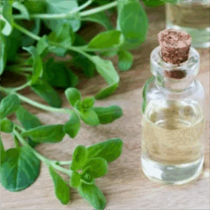Fragancia hidrosoluble